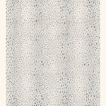 Antilocarpa Face-To-Face Wilton Carpet, Bone Default Title