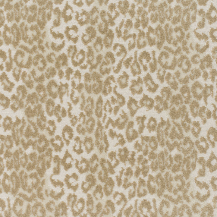 Sigmund Face-To-Face Wilton Carpet, Linen Default Title