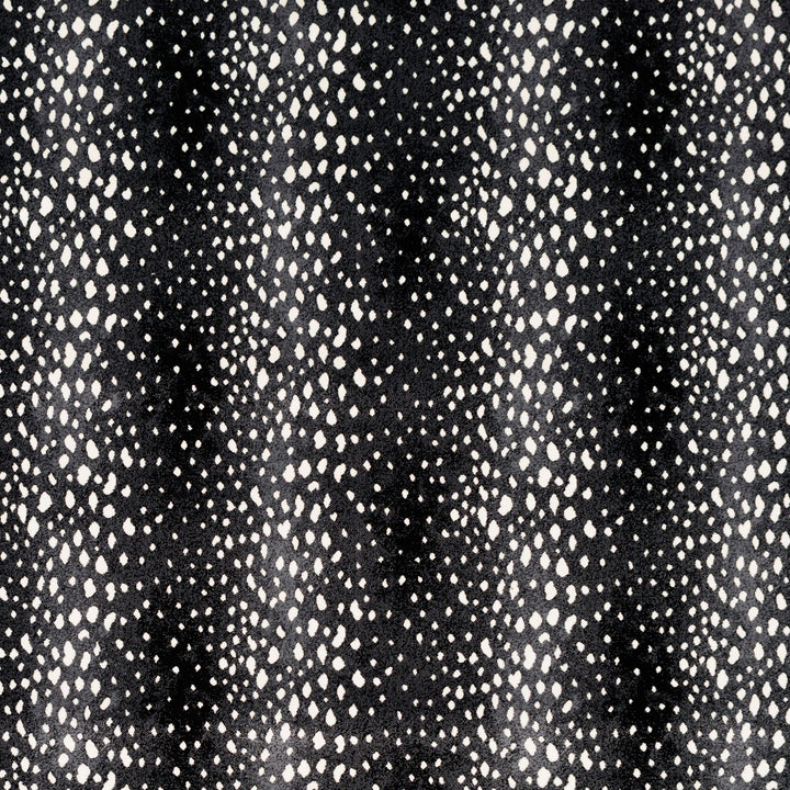 Antilocarpa Face-To-Face Wilton Carpet, Onyx Default Title
