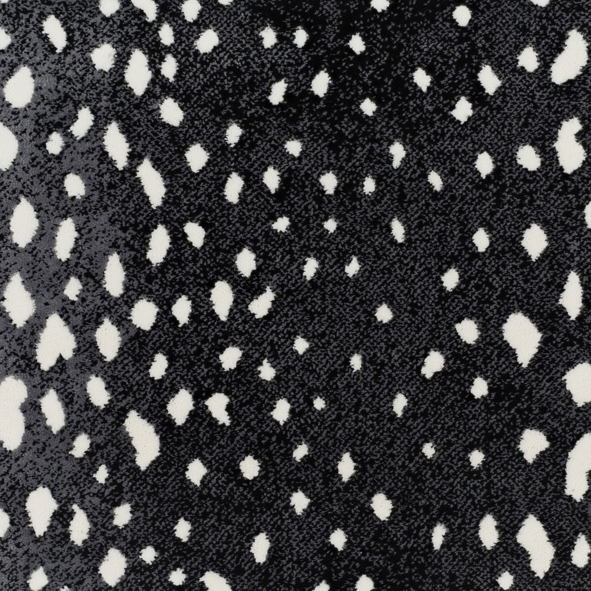 Antilocarpa Face-To-Face Wilton Carpet, Onyx Default Title