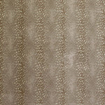 Antilocarpa Face-To-Face Wilton Carpet, Stone Default Title