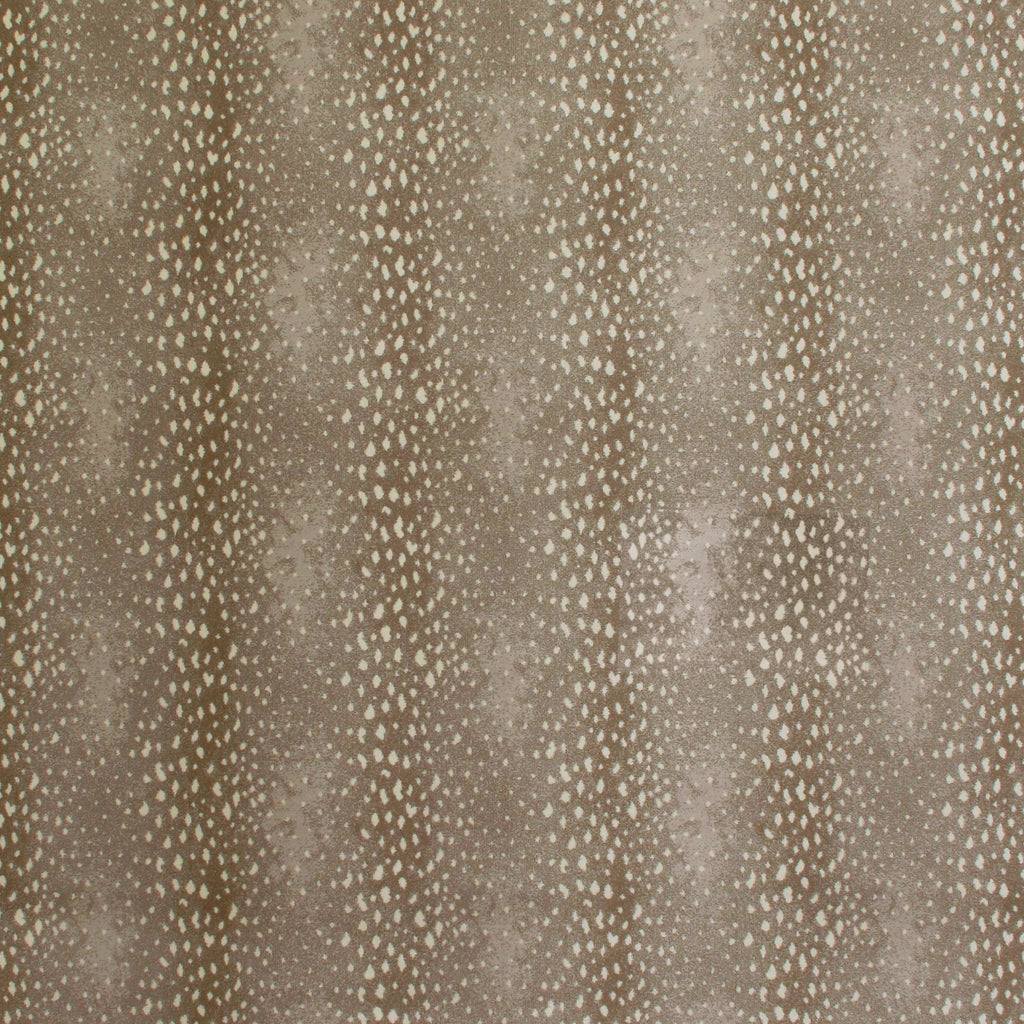 Antilocarpa Face-To-Face Wilton Carpet, Stone Default Title