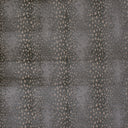 Antilocarpa Face-To-Face Wilton Carpet, Titanium Default Title