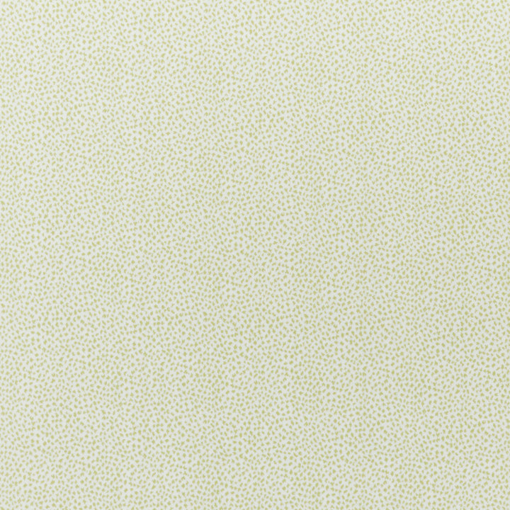 Gerry Wilton Carpet, Pearl / Margarita Default Title