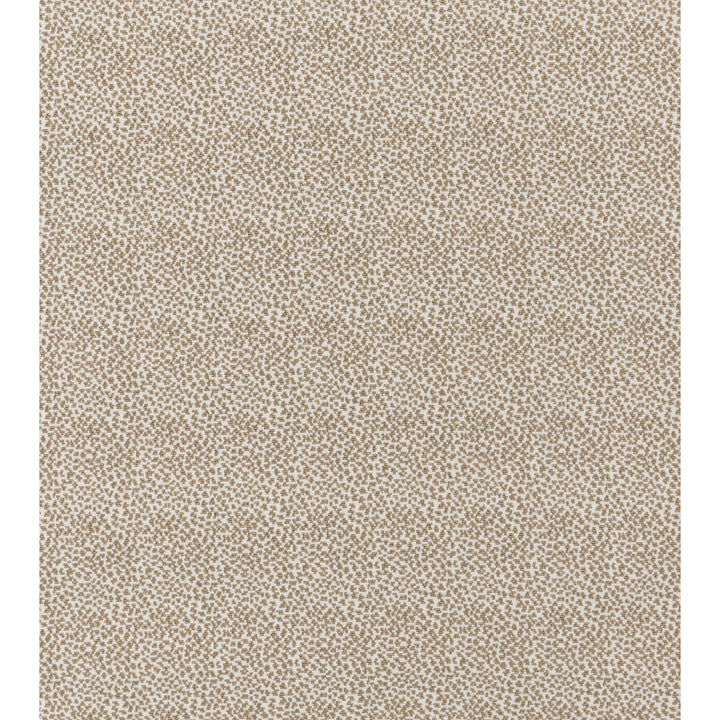 Fisher Wilton Carpet, Pearl / Dune Default Title