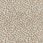 Fisher Wilton Carpet, Pearl / Dune Default Title
