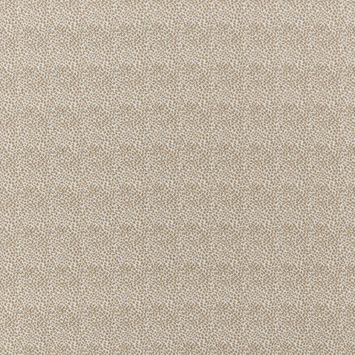 Fisher Wilton Carpet, Pearl / Dune Default Title
