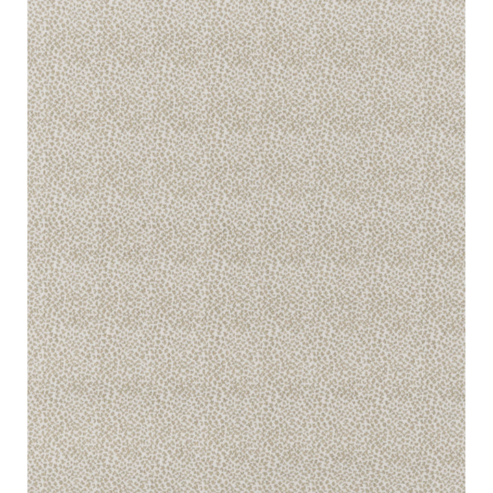 Fisher Wilton Carpet, Pearl / Dove Default Title