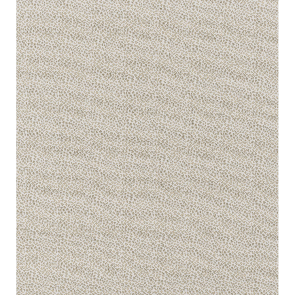 Fisher Wilton Carpet, Pearl / Dove Default Title