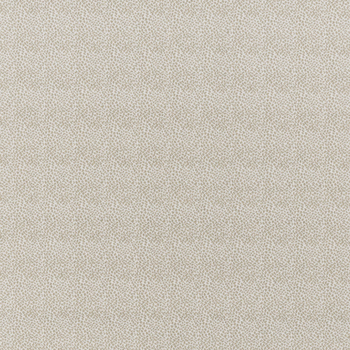 Fisher Wilton Carpet, Pearl / Dove Default Title