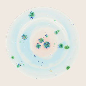 Winter Dinner Rim Plate Blue Default Title