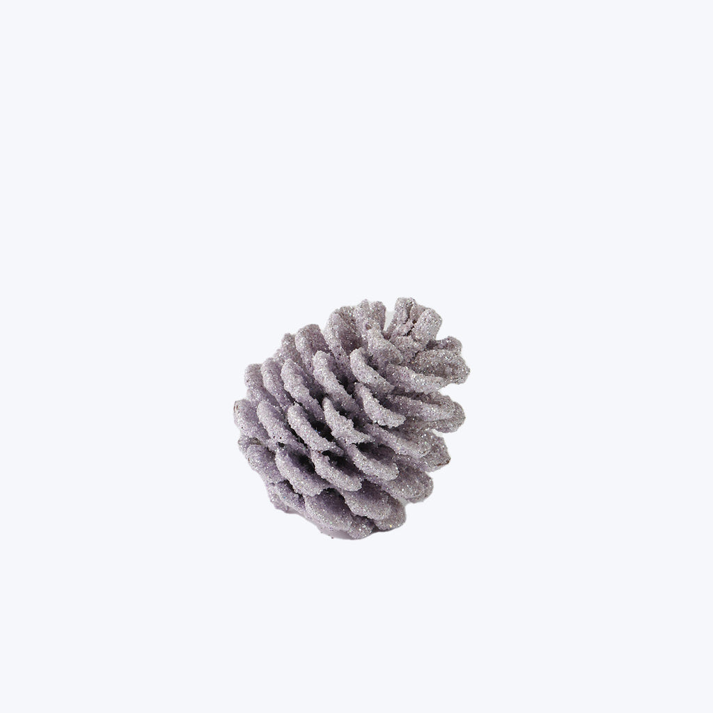 Glittery pine cone with frost-like coating, perfect for winter decor.