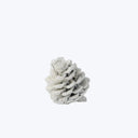 Textured, layered object resembling coral or mineral formation, monochromatic palette.