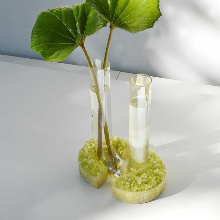 Pair of glass vases with green leaf stems on crystal bases