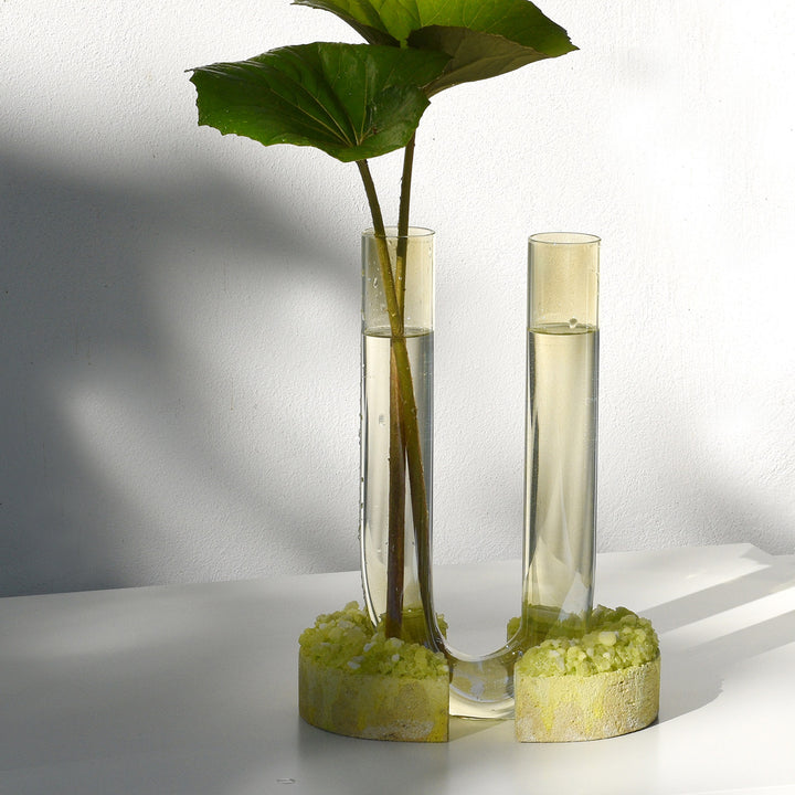 Modern minimalist glass vase with plant, light casting shadow elegantly.