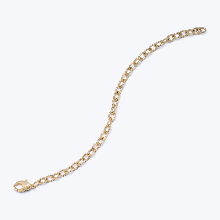 Gold chain with oval links and clasp on white background.